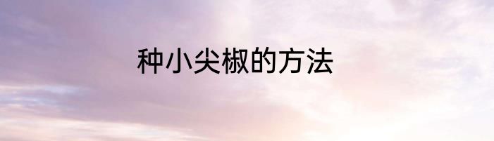 种小尖椒的方法