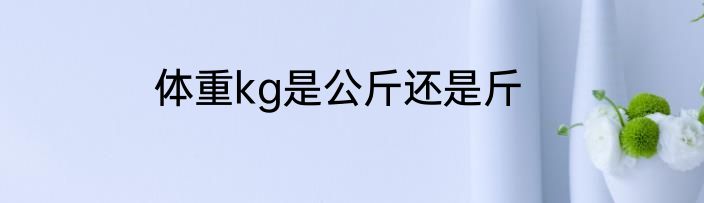 体重kg是公斤还是斤