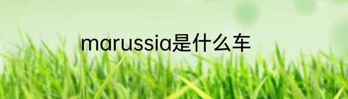 marussia是什么车