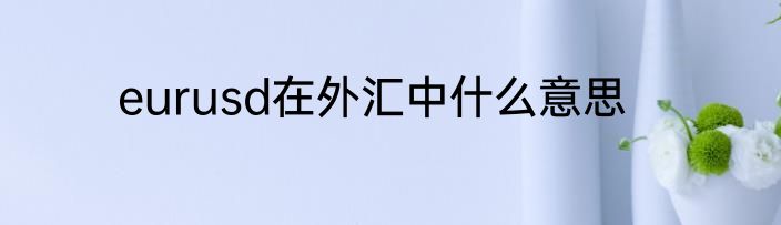 eurusd在外汇中什么意思