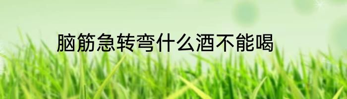 脑筋急转弯什么酒不能喝