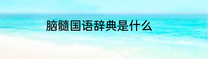 脑髓国语辞典是什么