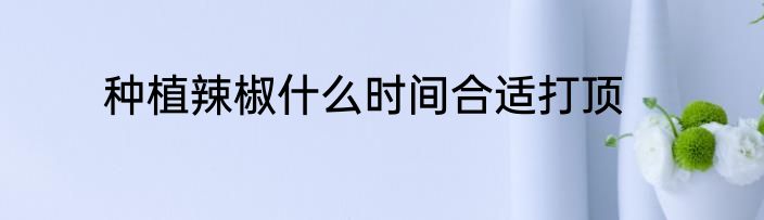 种植辣椒什么时间合适打顶