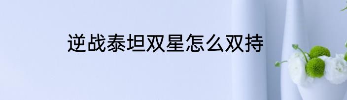 逆战泰坦双星怎么双持