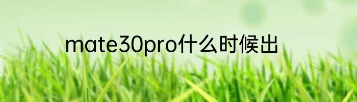 mate30pro什么时候出