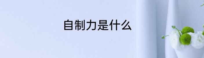 自制力是什么