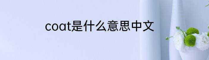 coat是什么意思中文