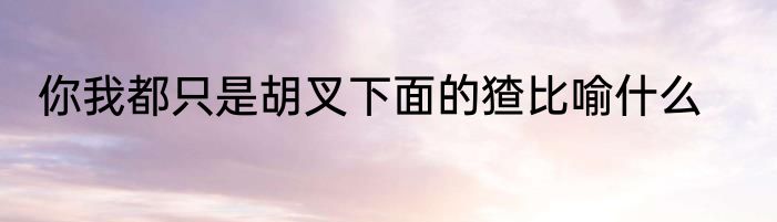 你我都只是胡叉下面的猹比喻什么