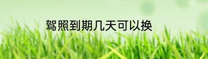 驾照到期几天可以换