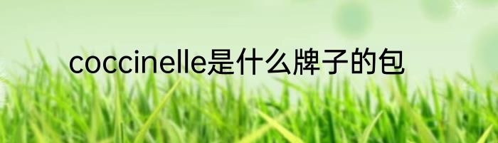 coccinelle是什么牌子的包