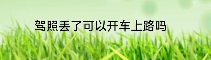驾照丢了可以开车上路吗