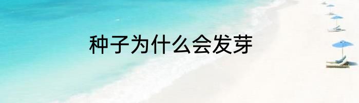 种子为什么会发芽