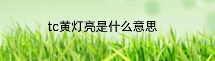 tc黄灯亮是什么意思
