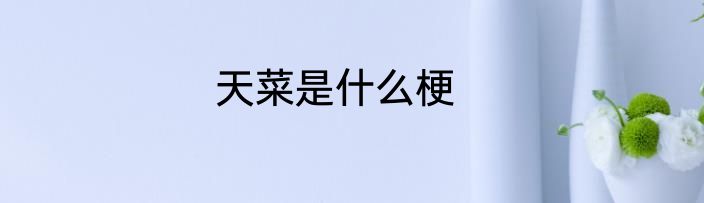 天菜是什么梗