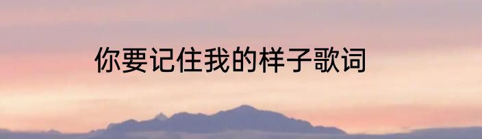 你要记住我的样子歌词