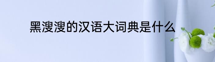 黑溲溲的汉语大词典是什么