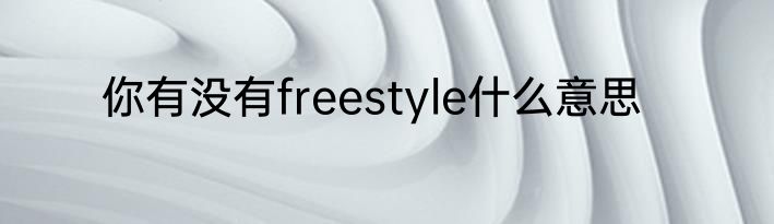 你有没有freestyle什么意思