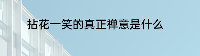 拈花一笑的真正禅意是什么