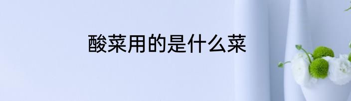 酸菜用的是什么菜