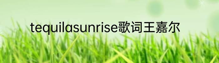 tequilasunrise歌词王嘉尔
