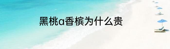 黑桃a香槟为什么贵