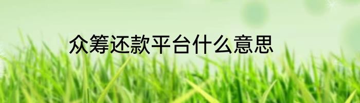 众筹还款平台什么意思
