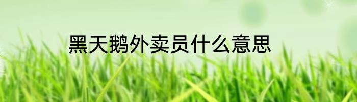 黑天鹅外卖员什么意思
