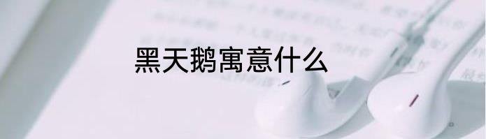 黑天鹅寓意什么