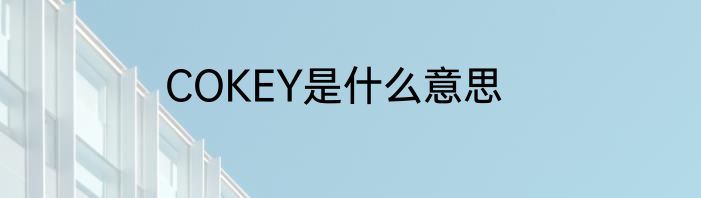 COKEY是什么意思