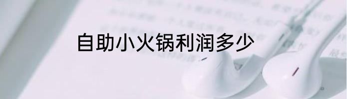 自助小火锅利润多少