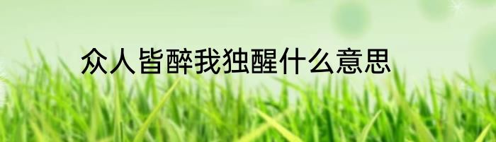 众人皆醉我独醒什么意思