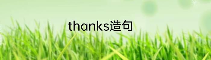 thanks造句