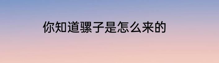 你知道骡子是怎么来的