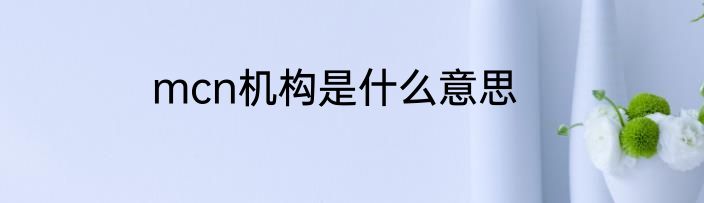 mcn机构是什么意思