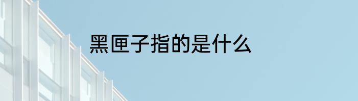 黑匣子指的是什么