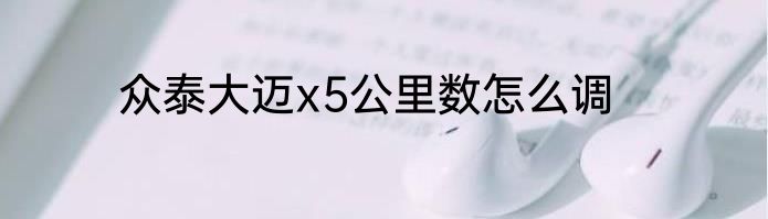 众泰大迈x5公里数怎么调