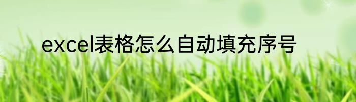 excel表格怎么自动填充序号