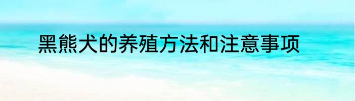 黑熊犬的养殖方法和注意事项