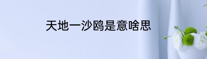 天地一沙鸥是意啥思