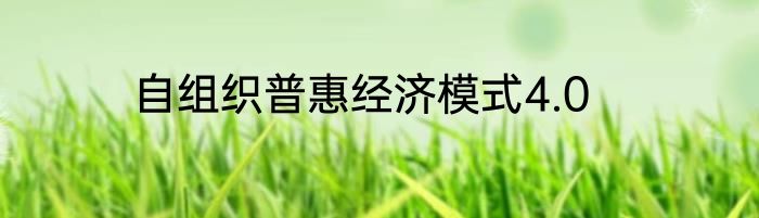 自组织普惠经济模式4.0
