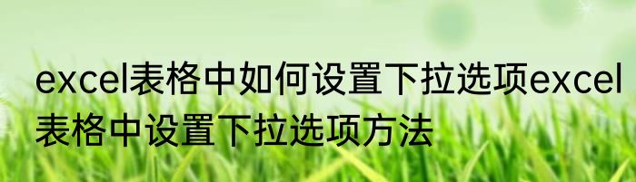 excel表格中如何设置下拉选项excel表格中设置下拉选项方法