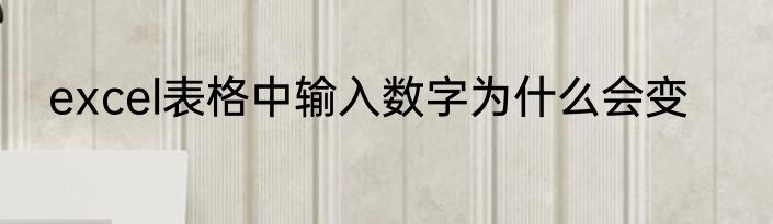 excel表格中输入数字为什么会变