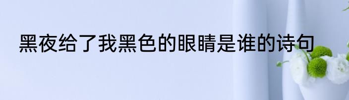 黑夜给了我黑色的眼睛是谁的诗句