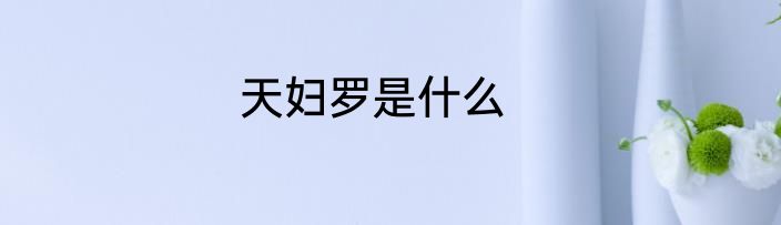 天妇罗是什么
