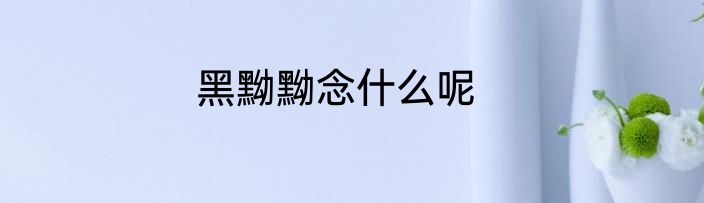 黑黝黝念什么呢
