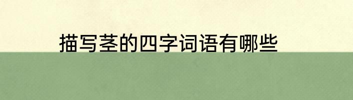 描写茎的四字词语有哪些
