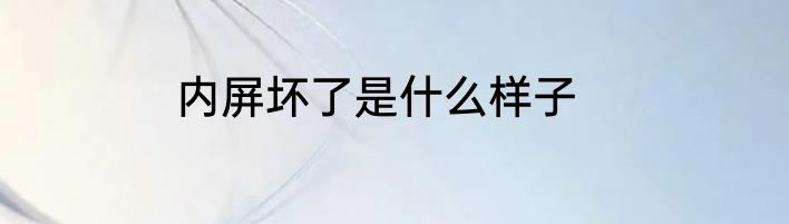 内屏坏了是什么样子