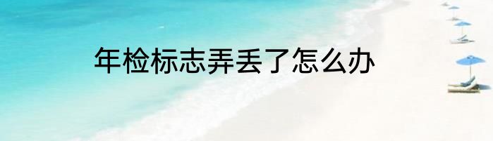 年检标志弄丢了怎么办