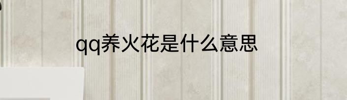 qq养火花是什么意思