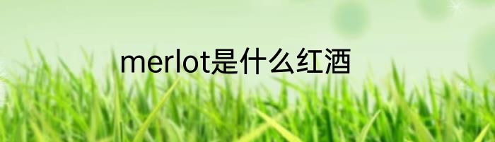 merlot是什么红酒